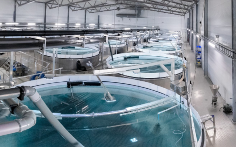 Nocera, Inc. Explores Strategic Collaboration with Chang Tai Group to Drive Sustainable Innovation in Aquaculture Industry